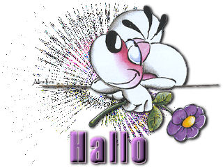 Hallo2 bilder