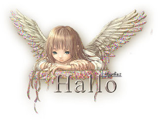 Hallo2 bilder