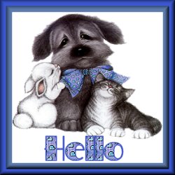 Hallo2 bilder