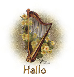 Hallo2 bilder