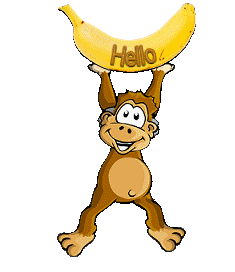 Hallo2 bilder