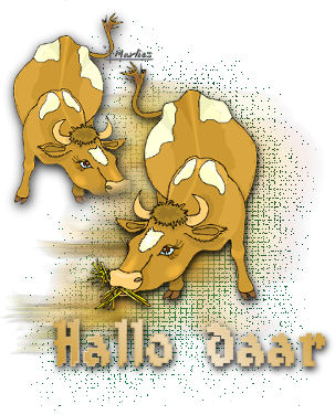 Hallo2 bilder