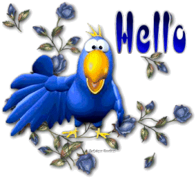 Hallo2 bilder