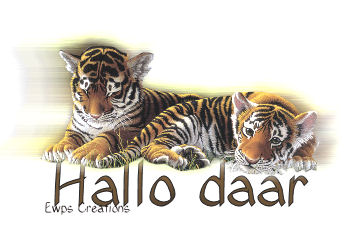 Hallo2 bilder