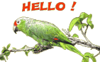 Hallo2 bilder