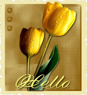 Hallo2 bilder