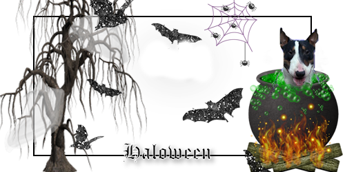 Halloween bilder