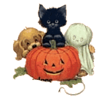 Halloween bilder