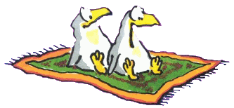 Hanky pinguin bilder