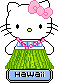 Hello kitty bilder