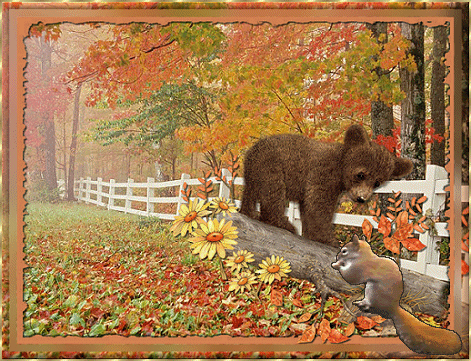 Herbst bilder