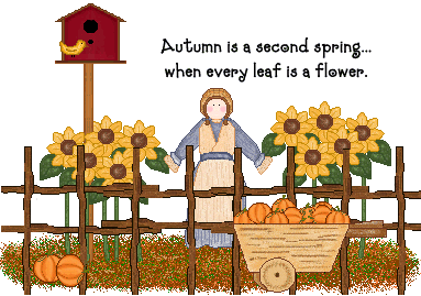 Herbst bilder