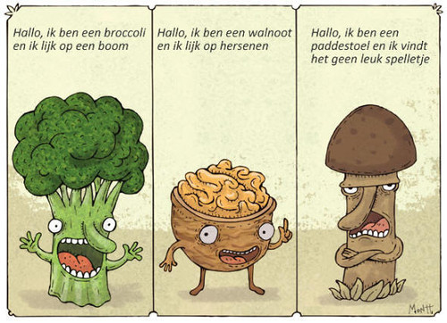 Humor bilder