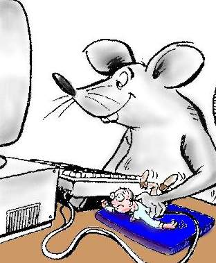 Humor bilder