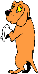 Hunde bilder