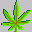 Icons bilder