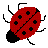 Icons bilder