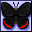 Icons bilder