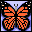 Icons bilder