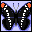 Icons bilder