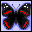 Icons bilder
