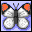 Icons bilder