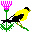 Icons bilder