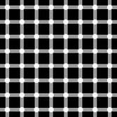 Illusion bilder