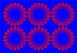 Illusion bilder