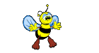Insekten bilder