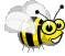 Insekten bilder
