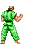 Judo bilder