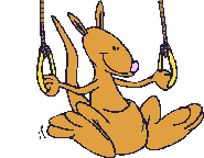 Kangurus bilder