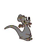 Kangurus bilder