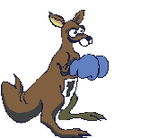 Kangurus bilder