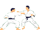 Karate bilder