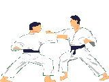 Karate bilder
