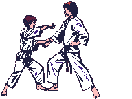 Karate bilder