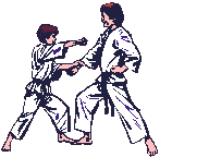 Karate bilder