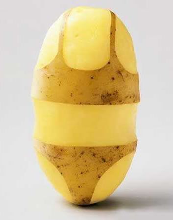 Kartoffel bilder