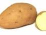 Kartoffel bilder