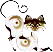 Katzen bilder