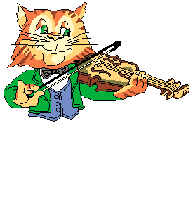 Katzen bilder