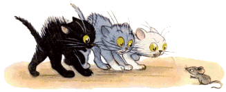 Katzen bilder
