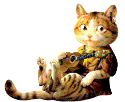 Katzen bilder
