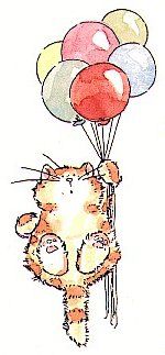 Katzen bilder