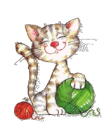 Katzen bilder
