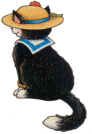 Katzen bilder