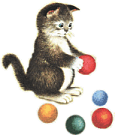 Katzen bilder