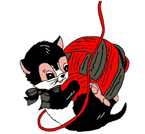 Katzen bilder